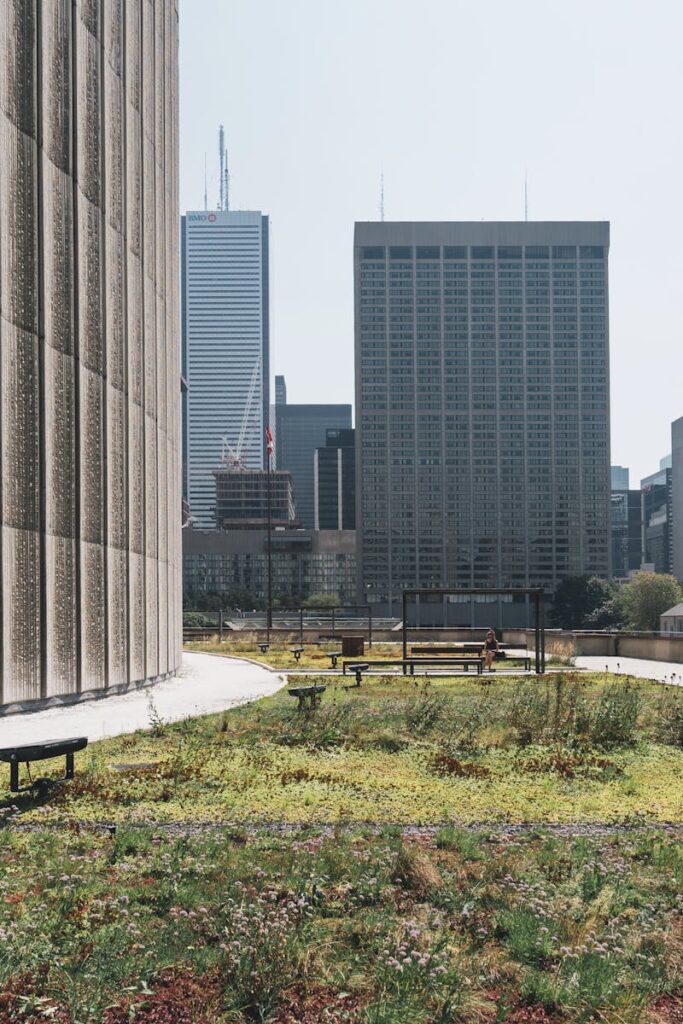 A sustainable rooftop garden with a view of the Toronto skyline, featuring modern architecture.